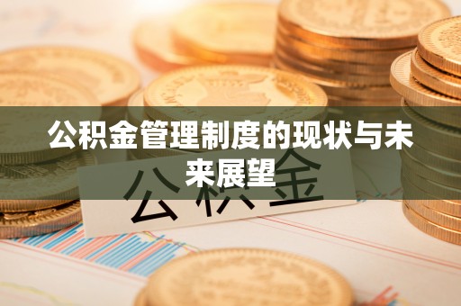 柳城公积金管理制度的现状与未来展望