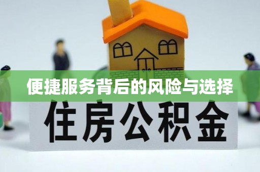 柳城便捷服务背后的风险与选择