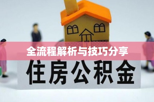 柳城全流程解析与技巧分享
